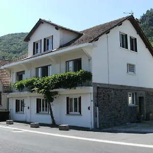 https://les-glycines-vic-sur-cere.hotels-rhonealpes.com